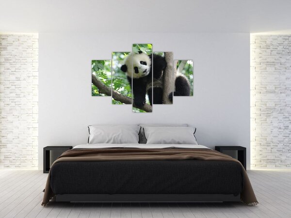 Slika - Panda na drvetu (150x105 cm)
