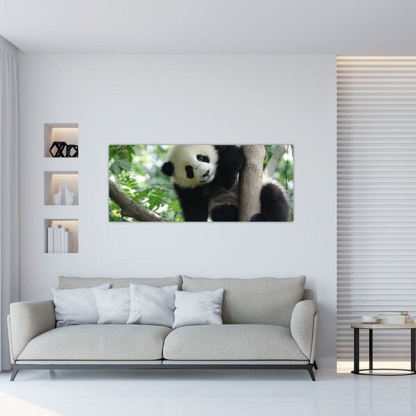 Slika - Panda na drvetu (120x50 cm)