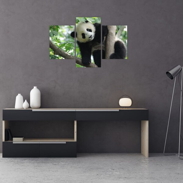Slika - Panda na drvetu (90x60 cm)