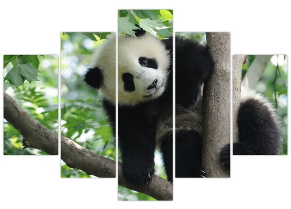 Slika - Panda na drvetu (150x105 cm)