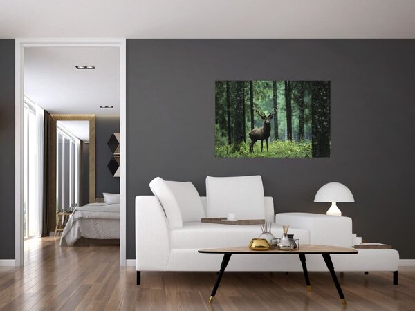 Slika - Jelen u dubokoj šumi (90x60 cm)