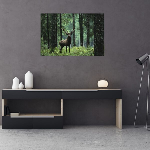 Slika - Jelen u dubokoj šumi (90x60 cm)