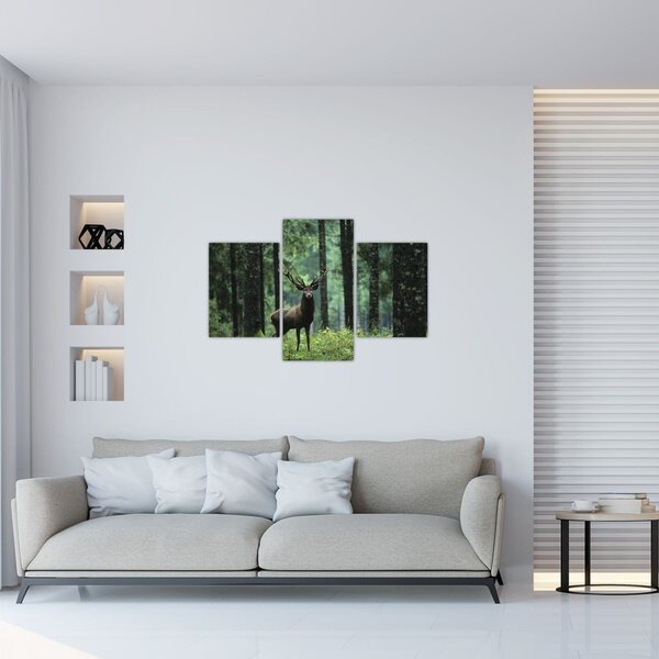 Slika - Jelen u dubokoj šumi (90x60 cm)