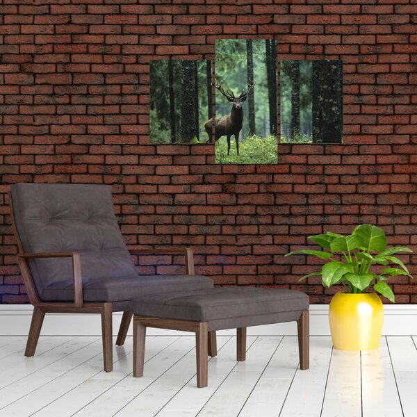 Slika - Jelen u dubokoj šumi (90x60 cm)