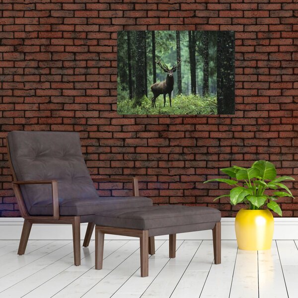 Slika - Jelen u dubokoj šumi (70x50 cm)