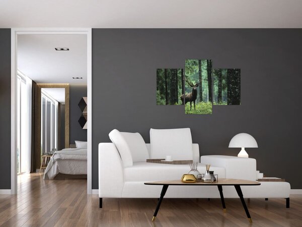 Slika - Jelen u dubokoj šumi (90x60 cm)