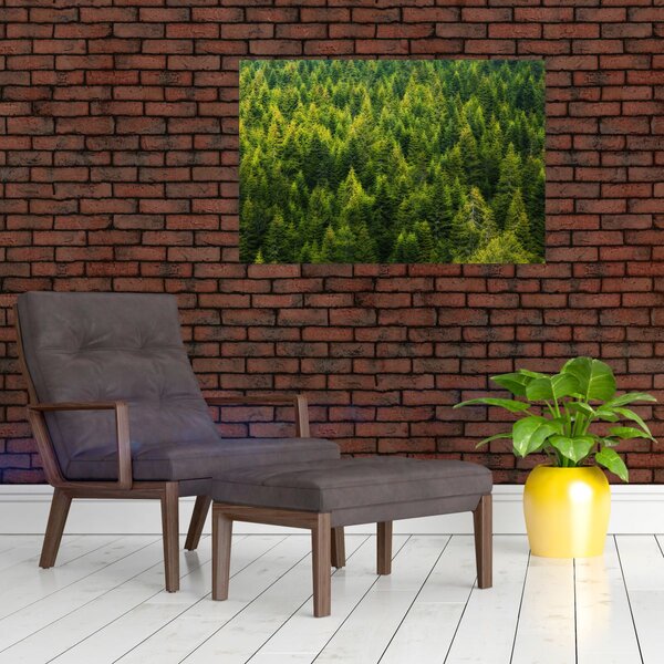 Slika - Gusta šuma (90x60 cm)