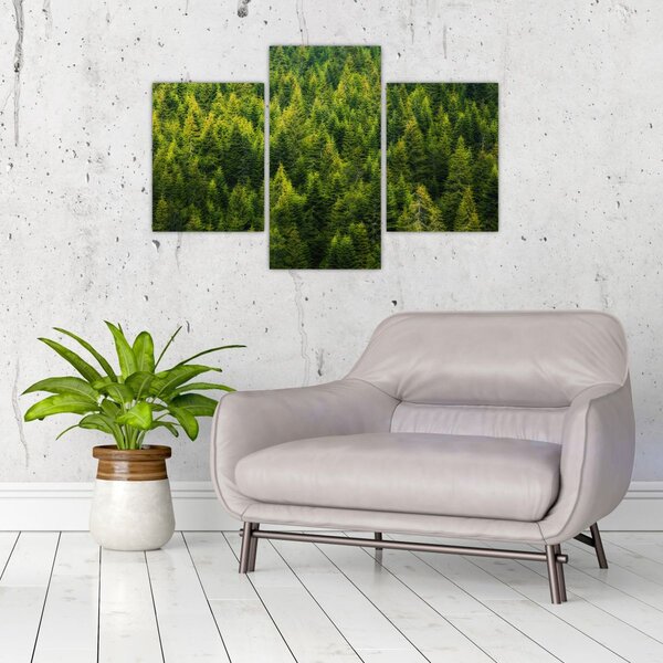 Slika - Gusta šuma (90x60 cm)