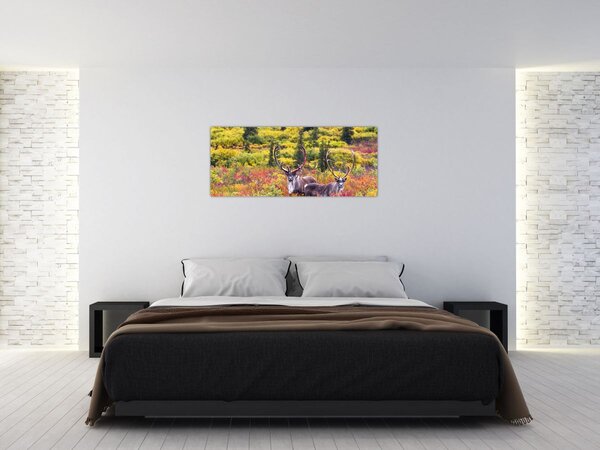 Slika - Karibu na Aljasci (120x50 cm)