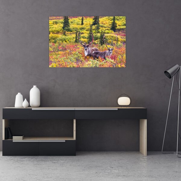 Slika - Karibu na Aljasci (90x60 cm)
