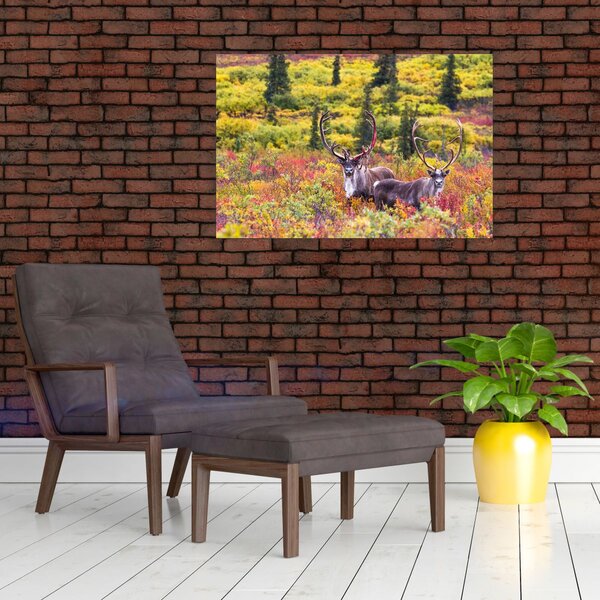 Slika - Karibu na Aljasci (90x60 cm)