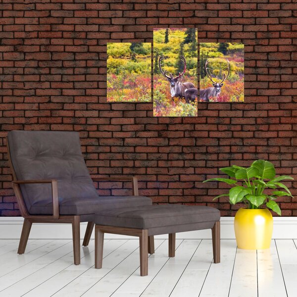 Slika - Karibu na Aljasci (90x60 cm)