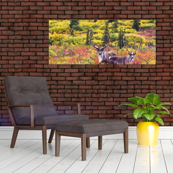 Slika - Karibu na Aljasci (120x50 cm)