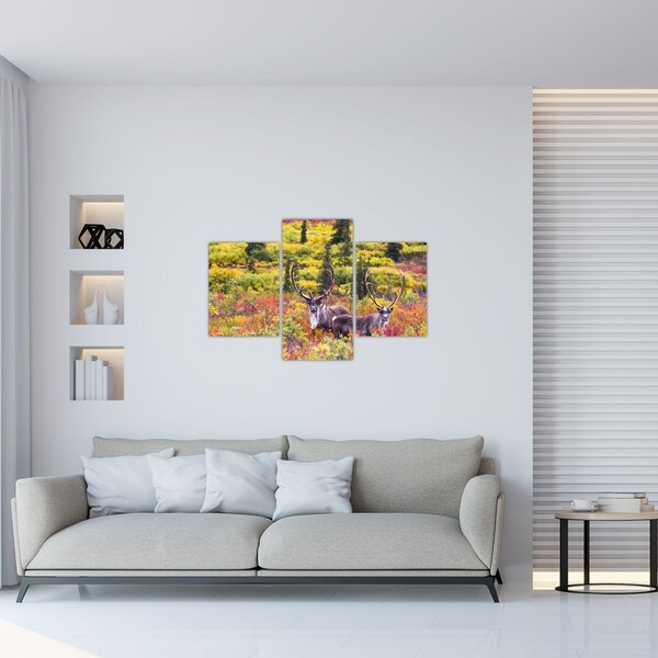 Slika - Karibu na Aljasci (90x60 cm)