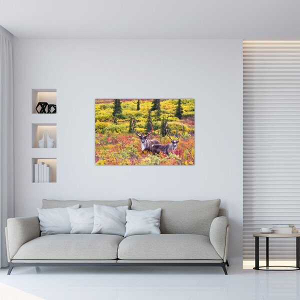 Slika - Karibu na Aljasci (90x60 cm)
