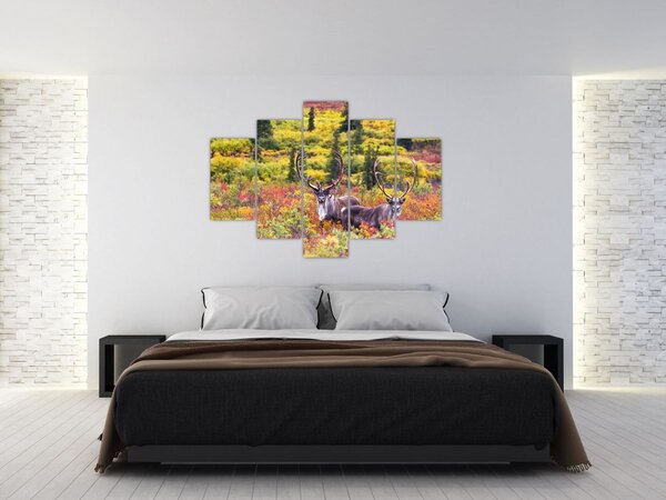 Slika - Karibu na Aljasci (150x105 cm)