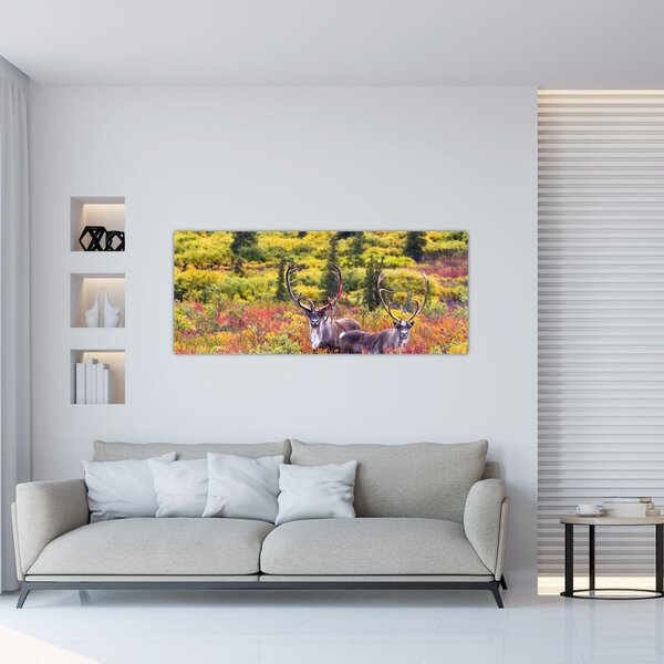 Slika - Karibu na Aljasci (120x50 cm)