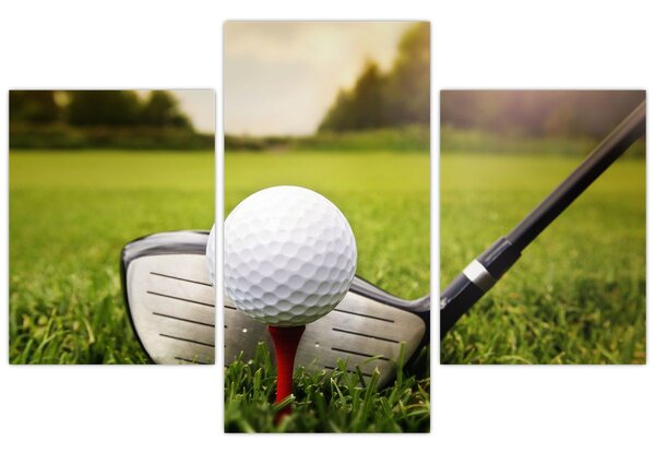 Slika - Golf (90x60 cm)