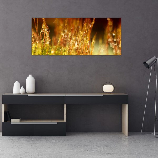 Slika - Detalj rose (120x50 cm)