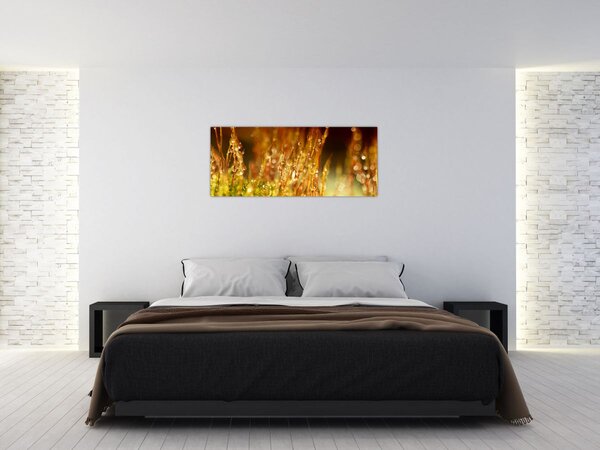 Slika - Detalj rose (120x50 cm)