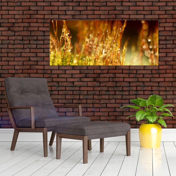 Slika - Detalj rose (120x50 cm)