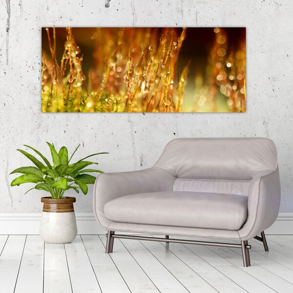 Slika - Detalj rose (120x50 cm)