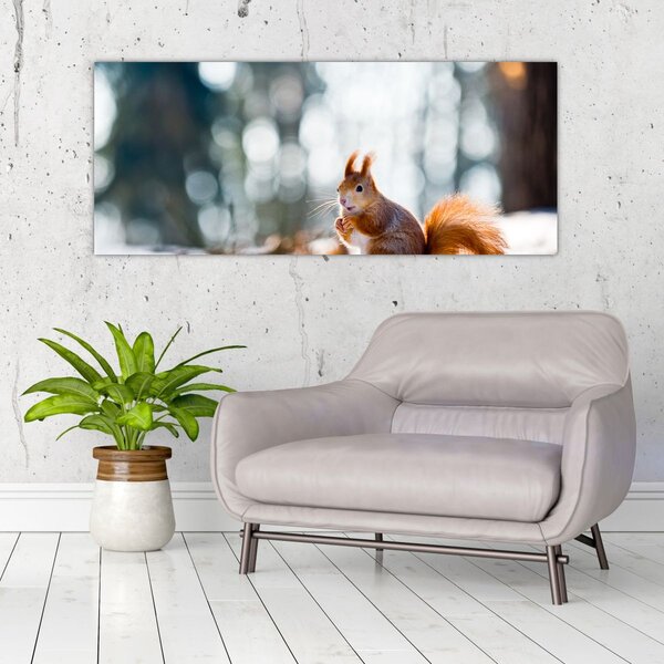 Slika - Vjeverica (120x50 cm)