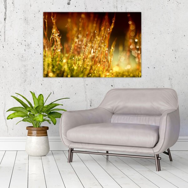 Slika - Detalj rose (90x60 cm)