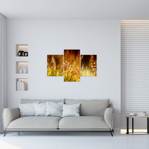 Slika - Detalj rose (90x60 cm)