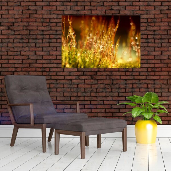 Slika - Detalj rose (90x60 cm)