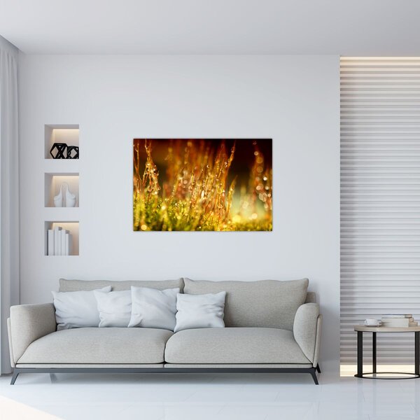 Slika - Detalj rose (90x60 cm)