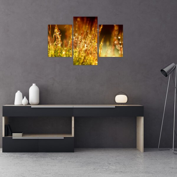Slika - Detalj rose (90x60 cm)