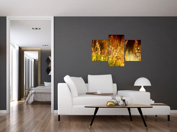 Slika - Detalj rose (90x60 cm)