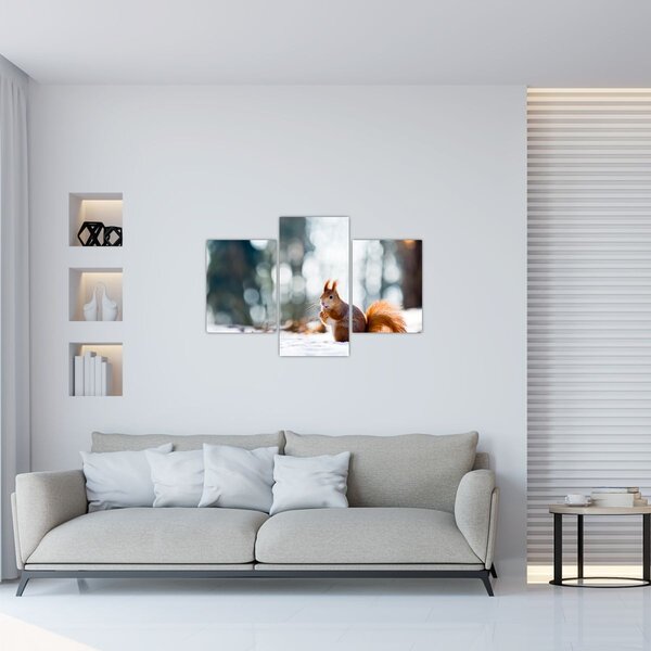 Slika - Vjeverica (90x60 cm)