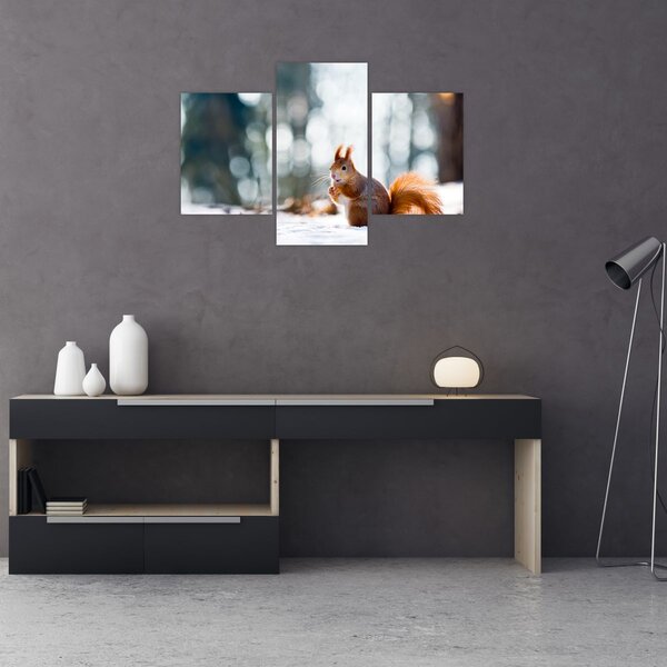 Slika - Vjeverica (90x60 cm)