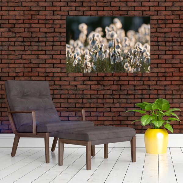 Slika - Bijeli svračak (90x60 cm)