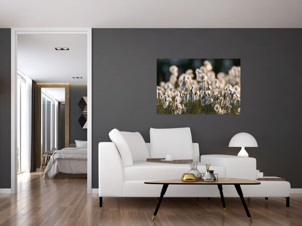Slika - Bijeli svračak (90x60 cm)