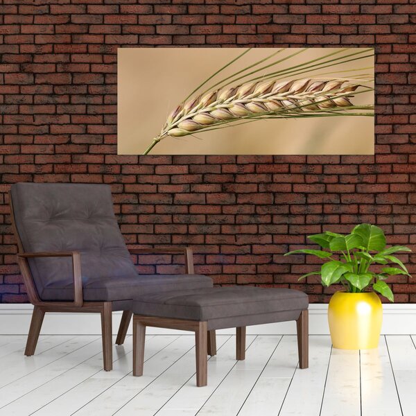 Slika - Pšenica (120x50 cm)