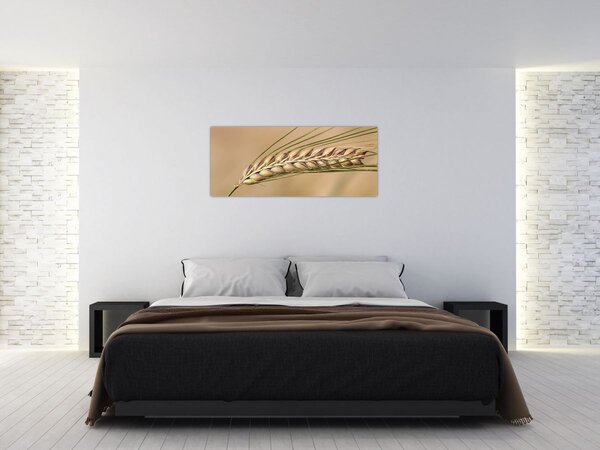 Slika - Pšenica (120x50 cm)