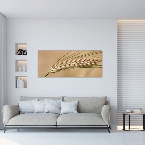 Slika - Pšenica (120x50 cm)