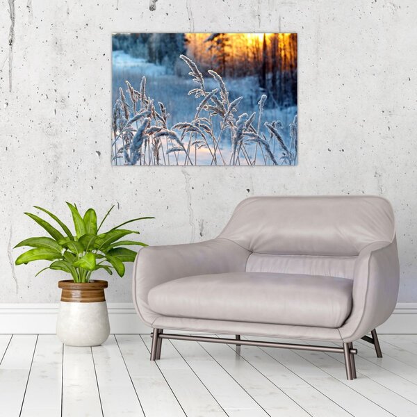 Slika - Zimska livada (70x50 cm)