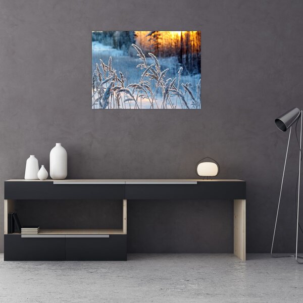 Slika - Zimska livada (70x50 cm)