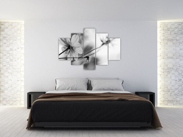 Slika - Crno-bijelo cvijeće (150x105 cm)