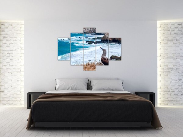Slika - Terej plavonogi (150x105 cm)