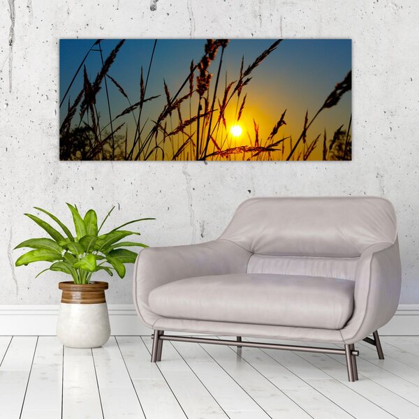 Slika - Zalazak sunca na livadi (120x50 cm)