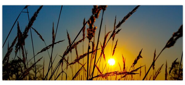Slika - Zalazak sunca na livadi (120x50 cm)