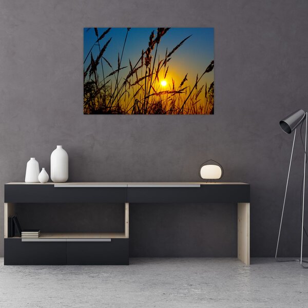 Slika - Zalazak sunca na livadi (90x60 cm)