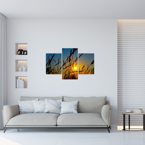 Slika - Zalazak sunca na livadi (90x60 cm)