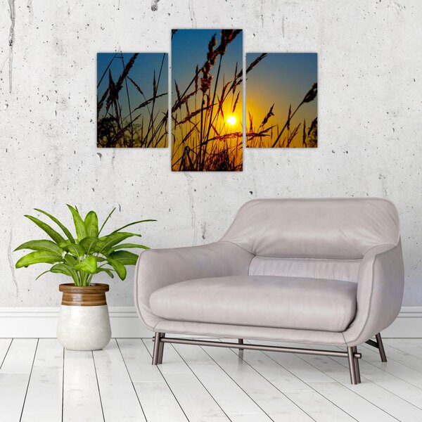 Slika - Zalazak sunca na livadi (90x60 cm)