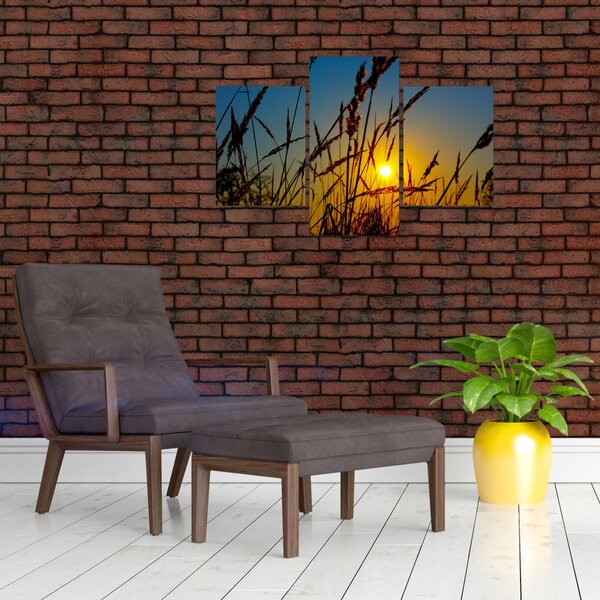 Slika - Zalazak sunca na livadi (90x60 cm)